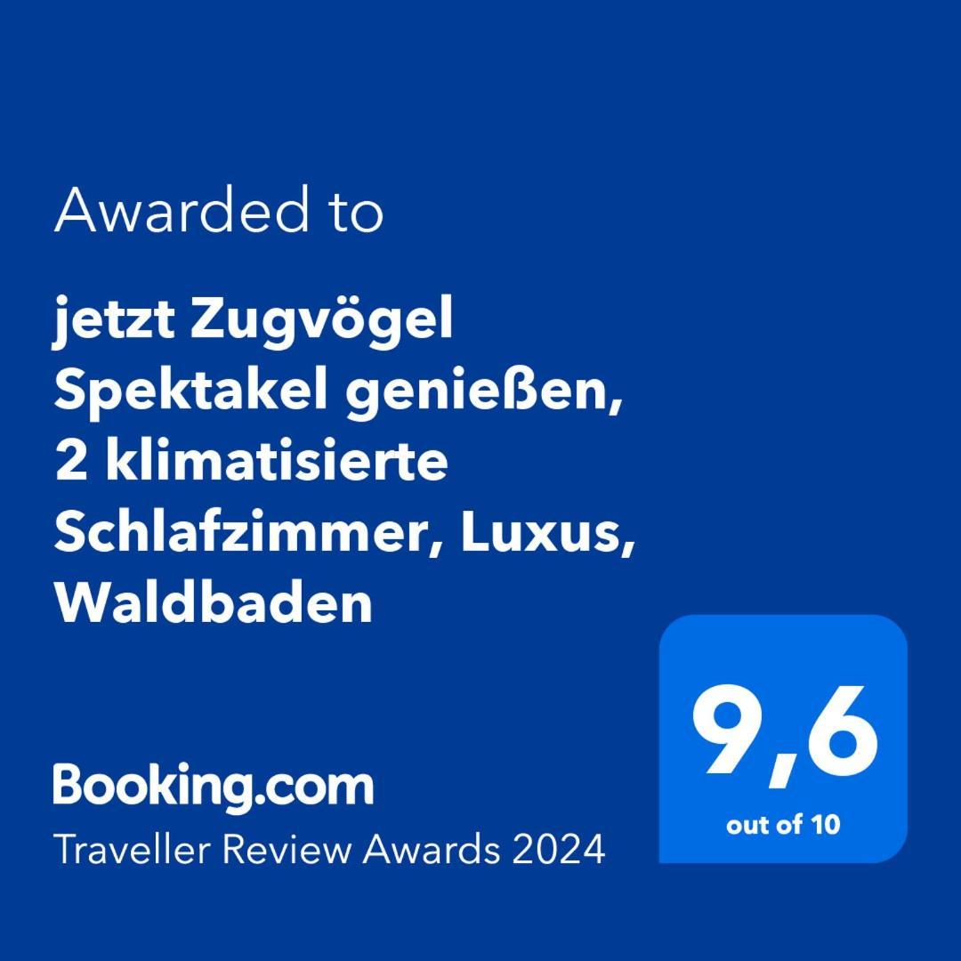 5 Sterne Bahnhoftraum, Appartement "Waldliebe" 133Qm, Grosse Terrasse 70Qm, Qr Code Scannen Fuer Virtuellen Rundgang, Premium Ausstattung Браунфелц Екстериор снимка